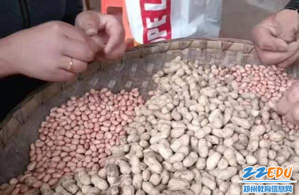 帮助父母干农活 帮助父母干农活