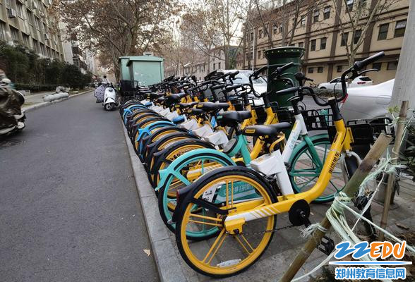 整齐的自行车诠释着高标意识 整齐的自行车诠释着高标意识