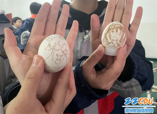 “鸡蛋画画”结果展示 “鸡蛋画画”结果展示