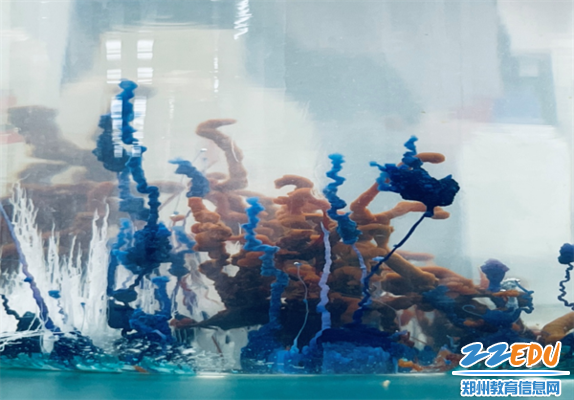 “水中花园”现场展示 “水中花园”现场展示