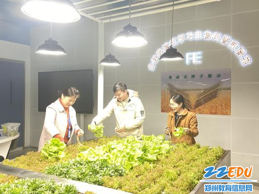 校长段亚萍及生物教师进行采摘 校长段亚萍及生物教师进行采摘