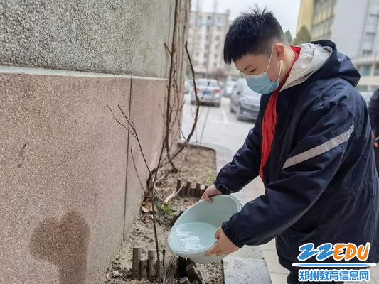 用心浇灌,感受生命的力量 用心浇灌,感受生命的力量