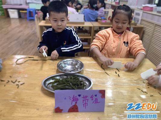 7.“我来切海带!” 7.“我来切海带!”