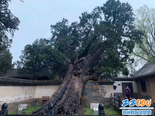 微信图片_202203140830575 微信图片_202203140830575