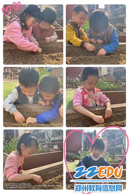 3中班幼儿耕园种植 3中班幼儿耕园种植