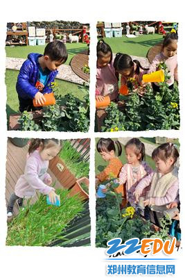 6小班幼儿给花草浇水 6小班幼儿给花草浇水