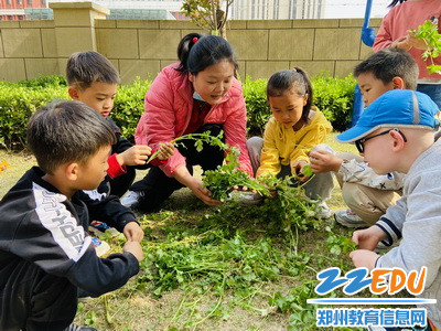 3.我们一起择菜_调整大小 3.我们一起择菜_调整大小