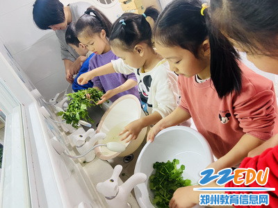 4.我们一起把香菜清洗干净_调整大小 4.我们一起把香菜清洗干净_调整大小