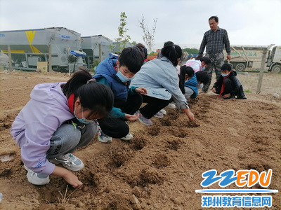 学生往坑儿穴里放种子_调整大小 学生往坑儿穴里放种子_调整大小
