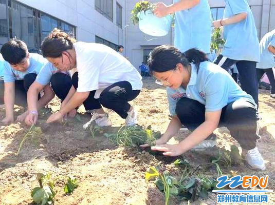 家长教学生种植方法