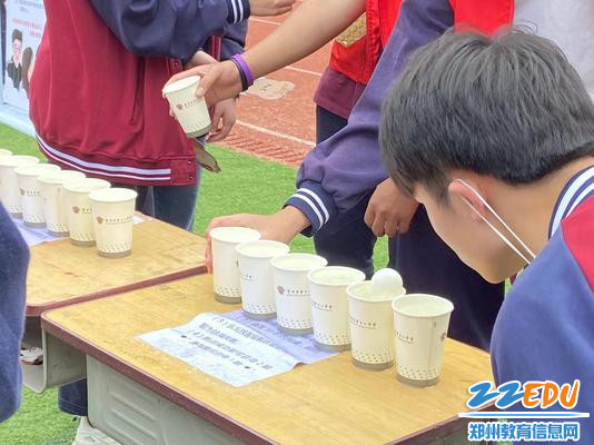 游园会活动中的精彩瞬间 游园会活动中的精彩瞬间