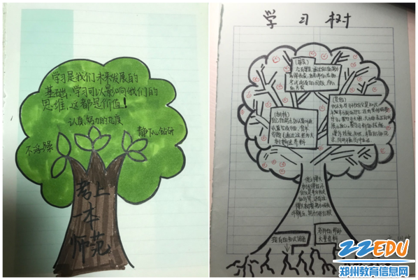 同学们通过心理察觉“树”分享感悟