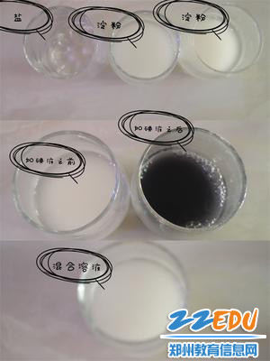 2、利用自制半透膜分离淀粉和食盐溶液（分离前）