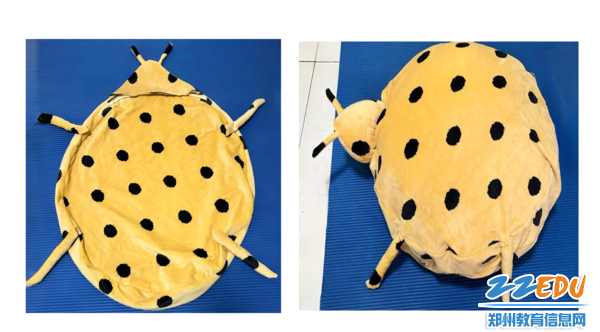 纯手工制作:瓢虫抱枕 纯手工制作:瓢虫抱枕