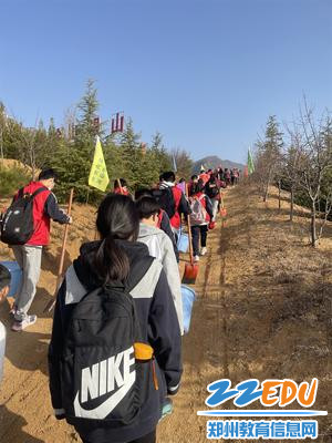 上山植树_副本 上山植树_副本