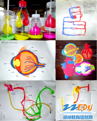 10生物模型制作