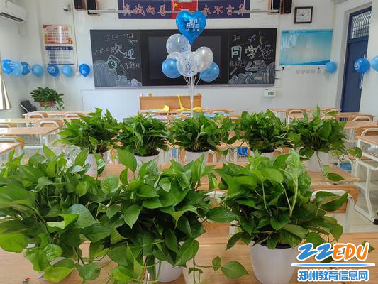 高一（12）班班主任、年级主任孙云霞为学生准备的绿植和气球