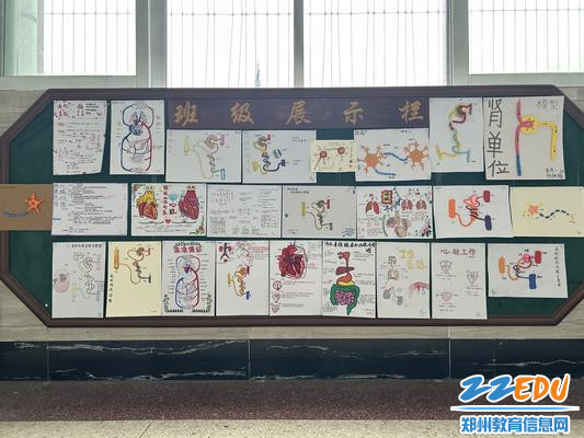 3郑州八中学生作品展部分