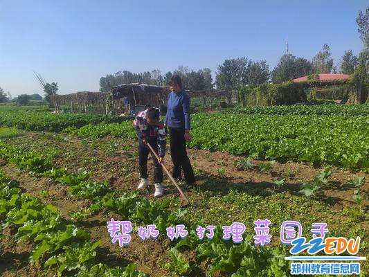 我帮老人打理菜园子