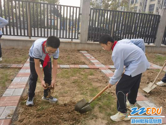 你翻土来,我捡拾 你翻土来,我捡拾