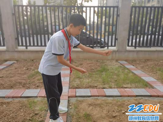 认真细致来施肥 认真细致来施肥