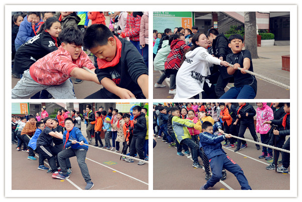 区纬五路第一小学五年级学生在操场上举行了一场别开生面的拔河比赛