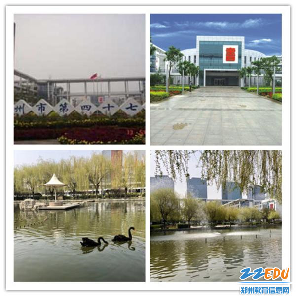 郑州四十七中的美景
