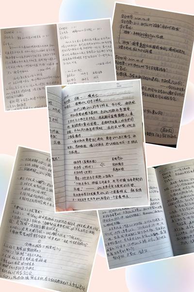 4班级教师认真记录的学习笔记