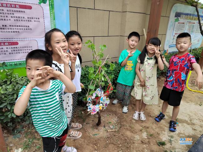 9.毕业礼物——在幼儿园种下一颗葡萄树