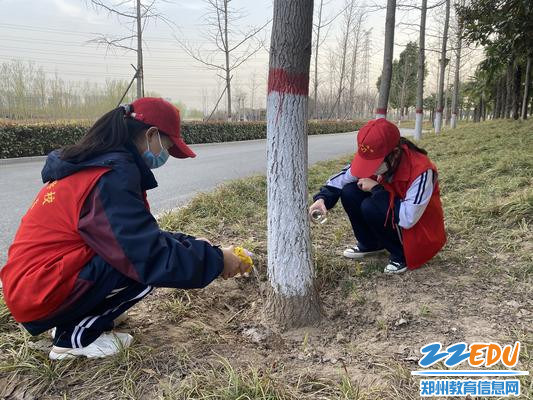 与绿色同行与环保相约郑州经开区十一学校开展植树节绿色环保行活动