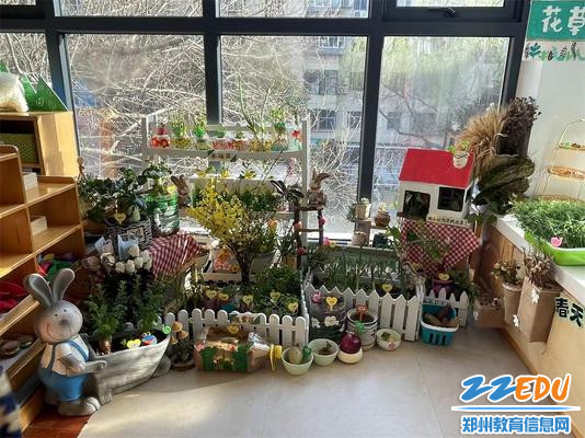 多姿多彩的植物角 (2)
