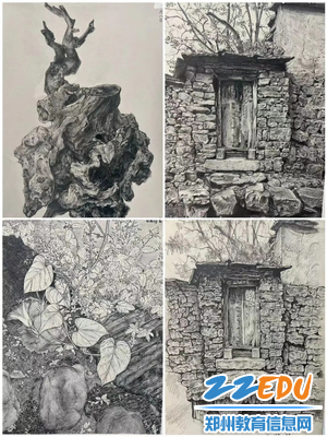 图片13