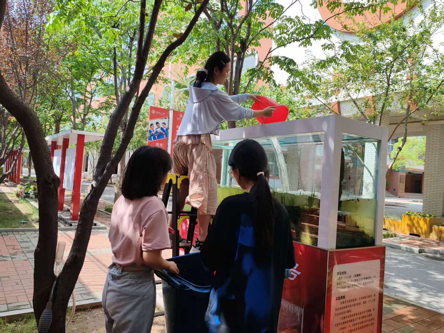 指尖护绿心间育爱 郑州市第一〇一中学开展暑期劳动志愿活动
