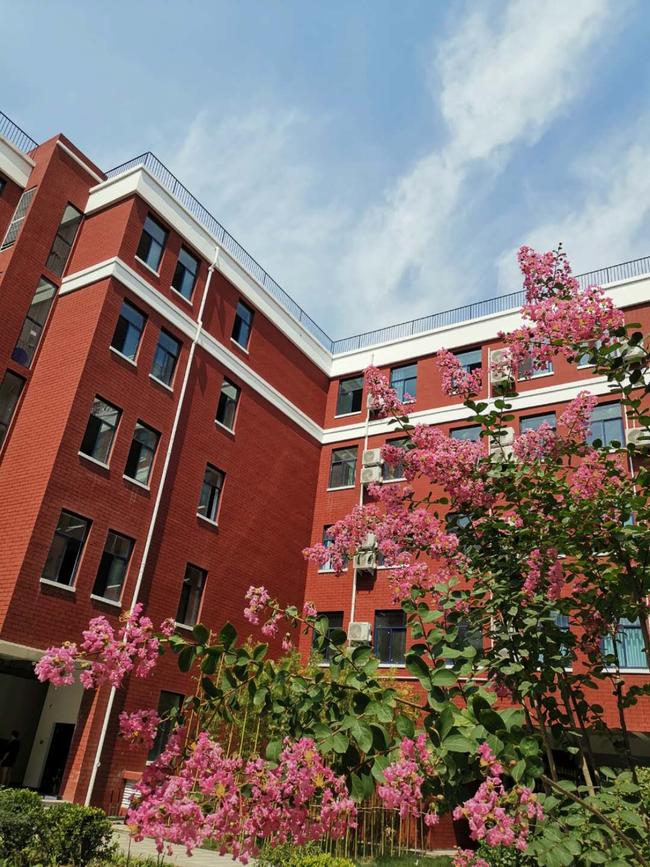 郑州十八中到底是所什么颜色的学校