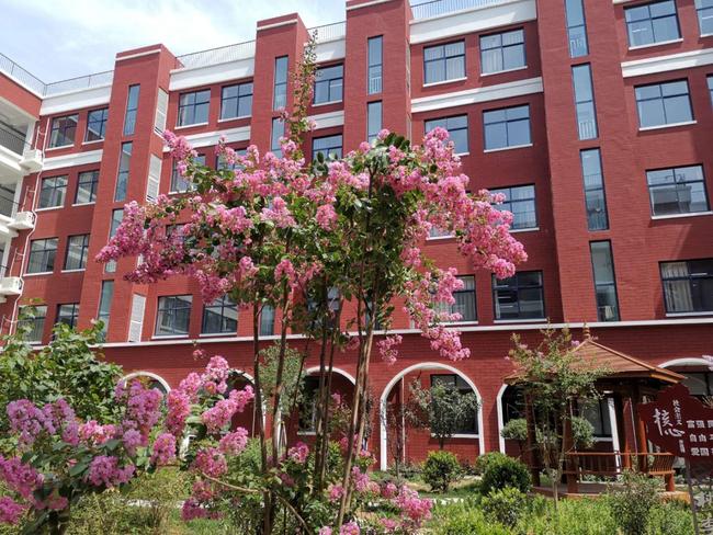 郑州十八中,到底是所什么颜色的学校-校园新闻-郑州市第十八中学