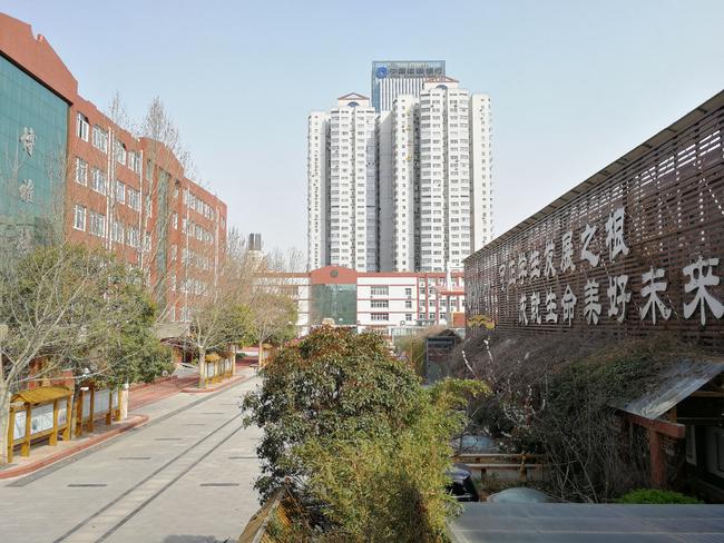 郑州八中校园花已开静待你归来